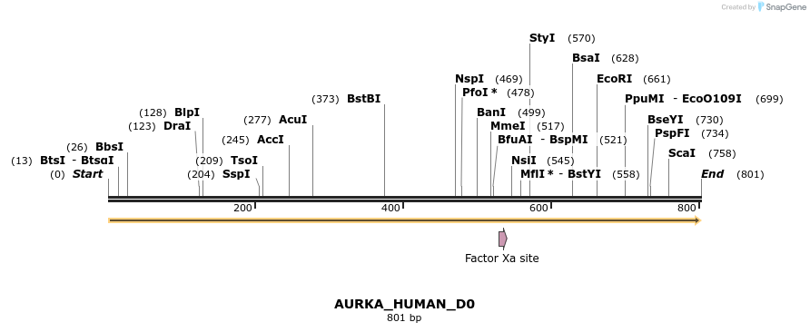 149061_map