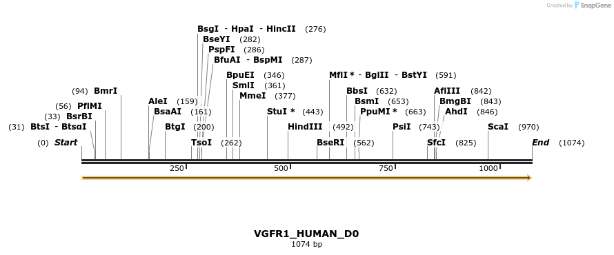 149065_map
