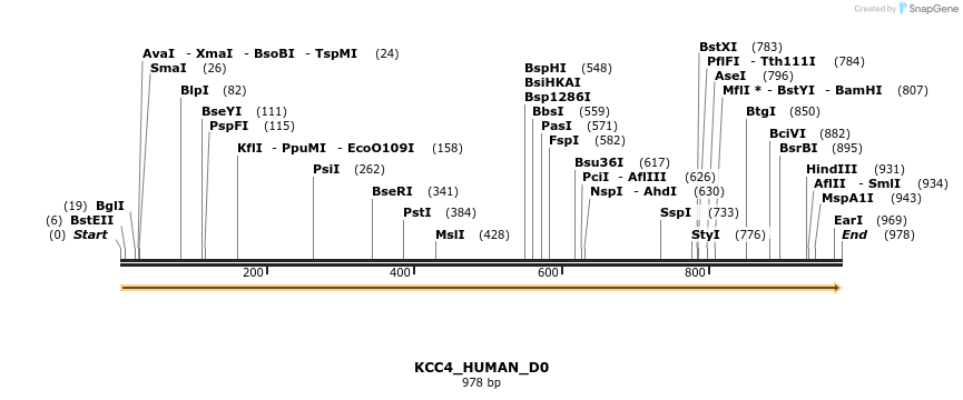 149066_map