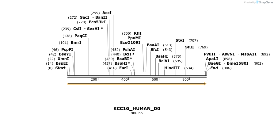 149067_map