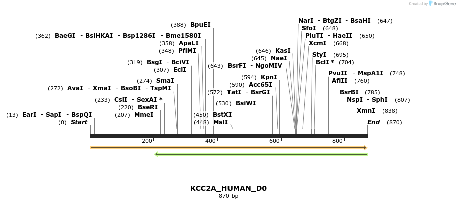 149068_map