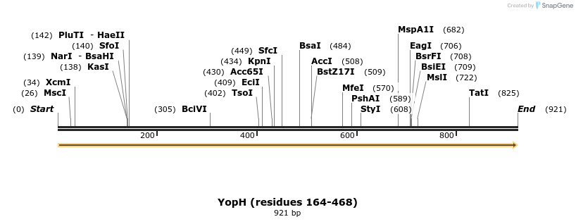149071_map
