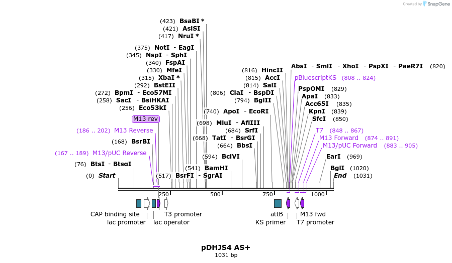 149074_map