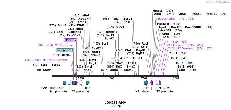 149075_map