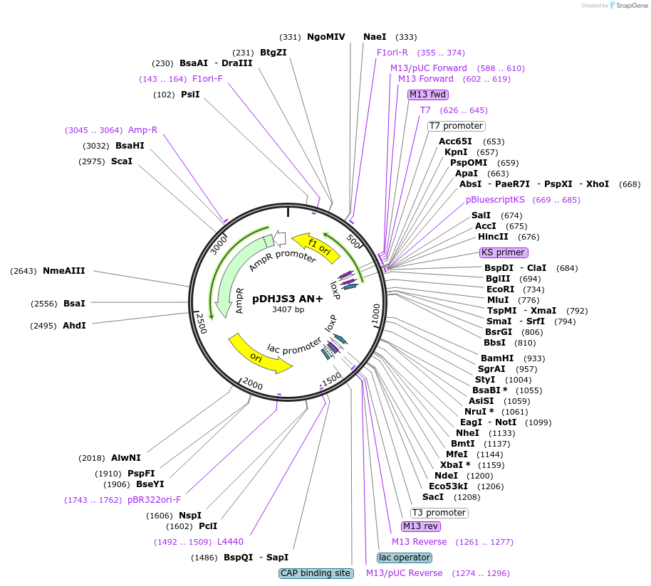 149076_map
