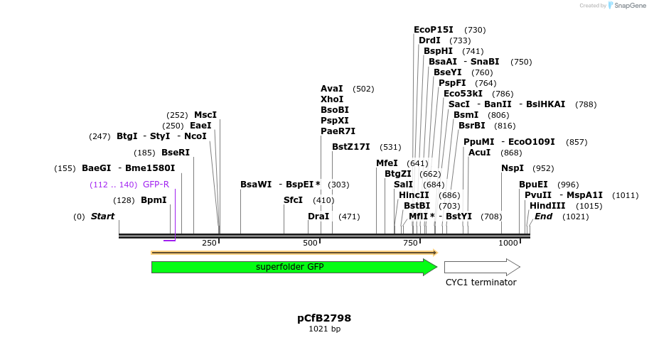 149077_map