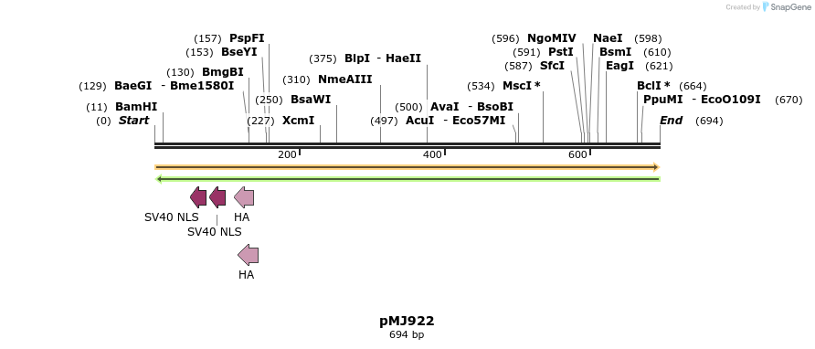 149078_map