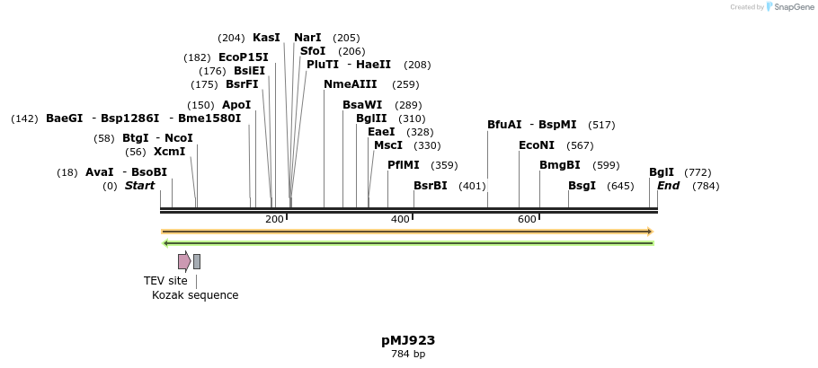 149080_map