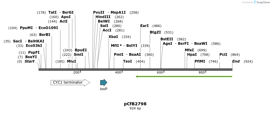 149081_map