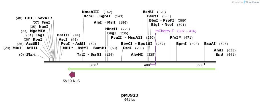 149082_map