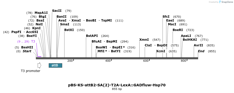 149083_map