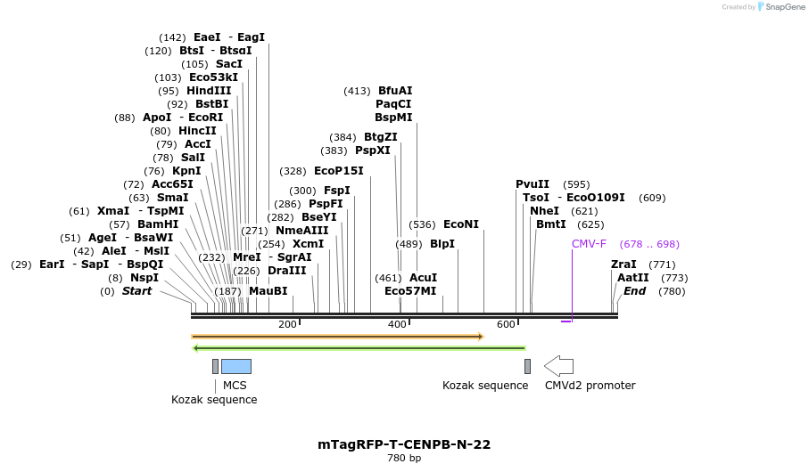 149086_map