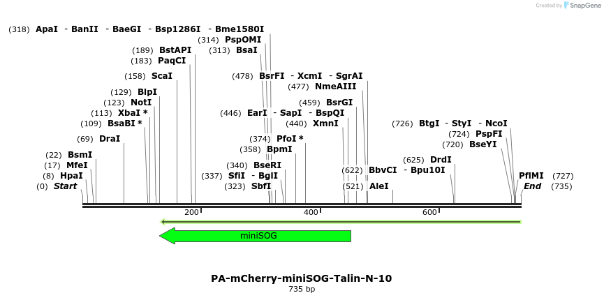 149087_map
