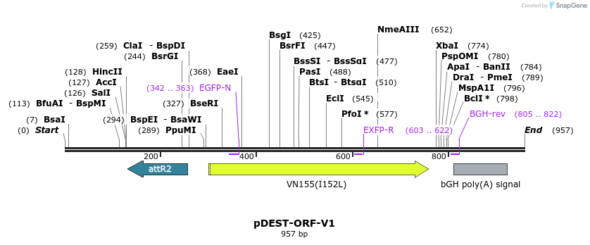 149090_map