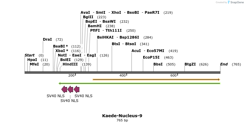 149091_map