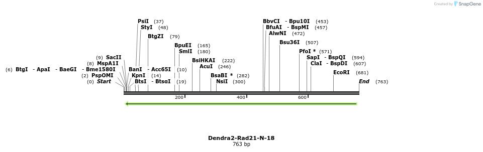 149093_map