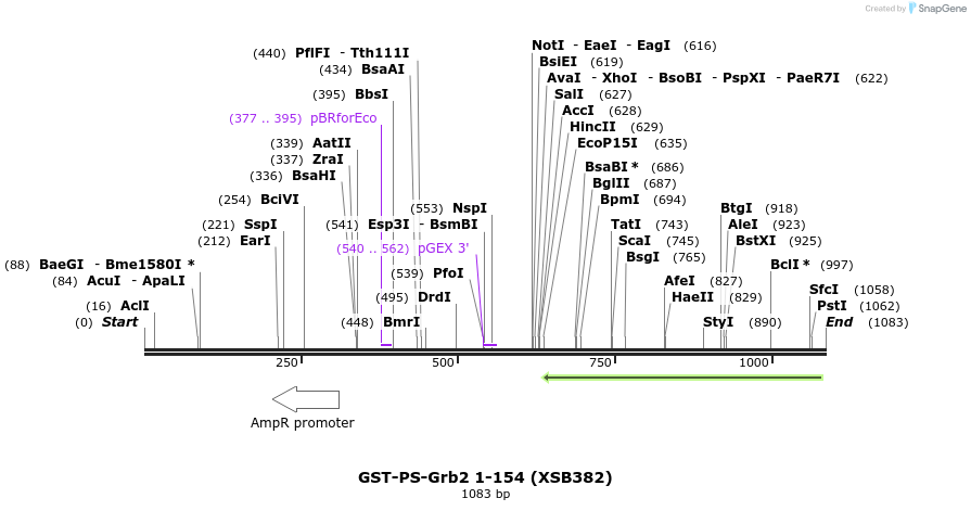 149097_map