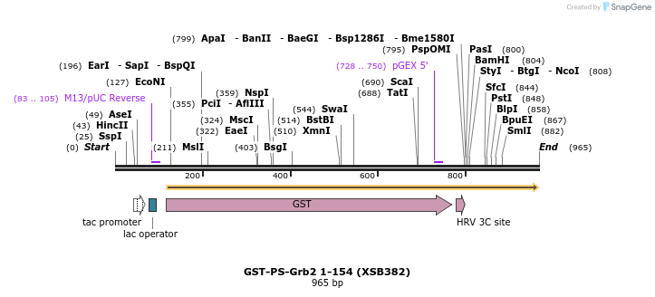 149098_map