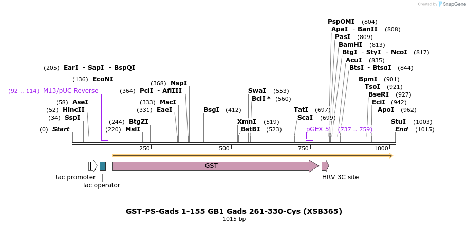 149103_map