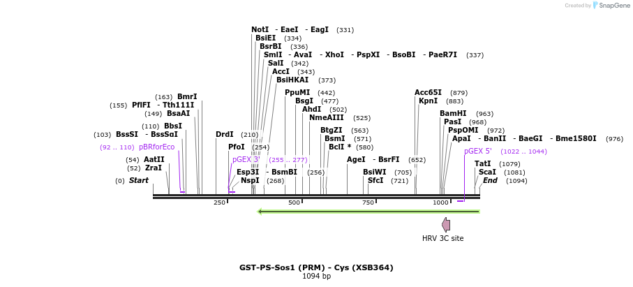 149104_map