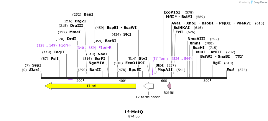 149107_map