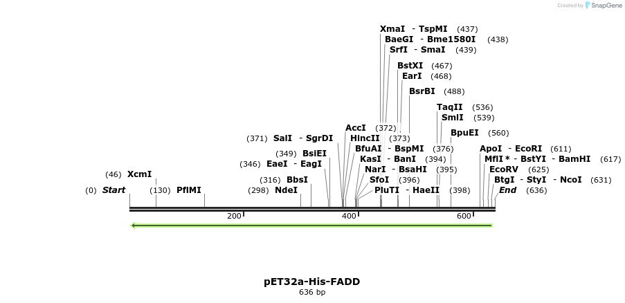 149115_map