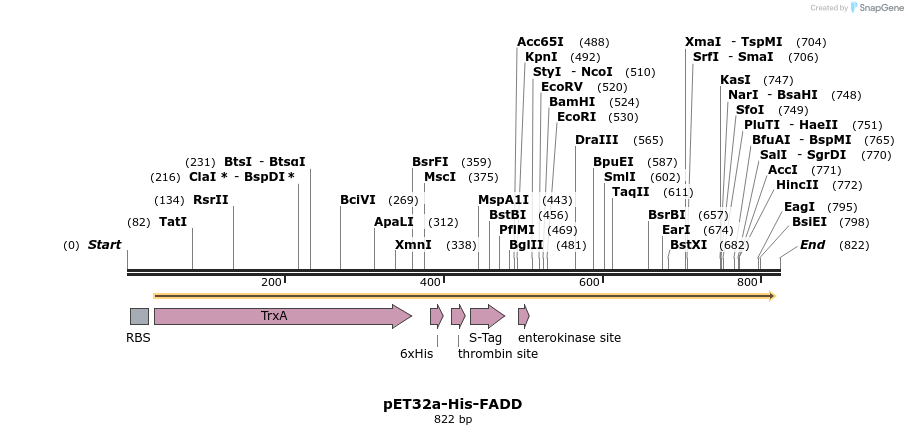 149116_map
