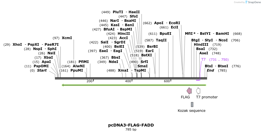 149118_map