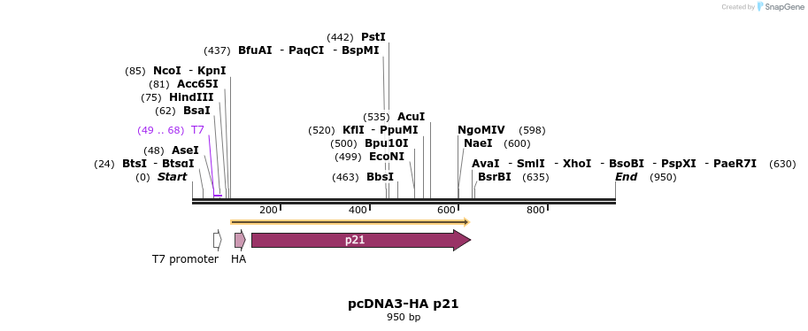 149123_map