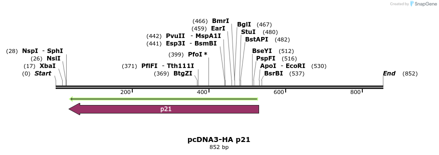149124_map