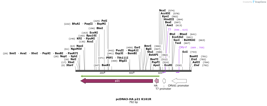 149129_map