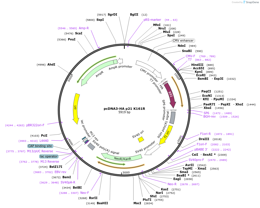 149130_map