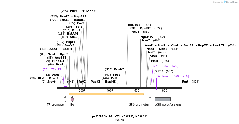149143_map