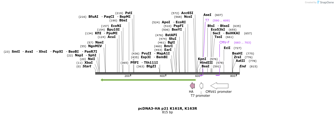149144_map