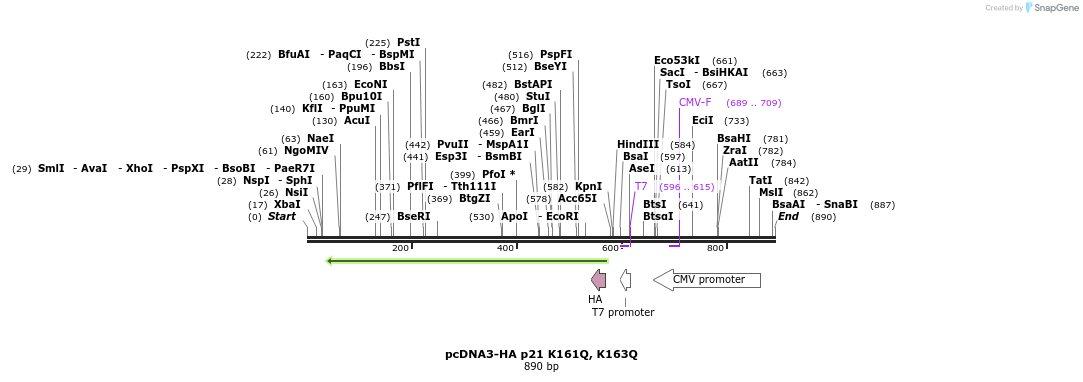 149146_map
