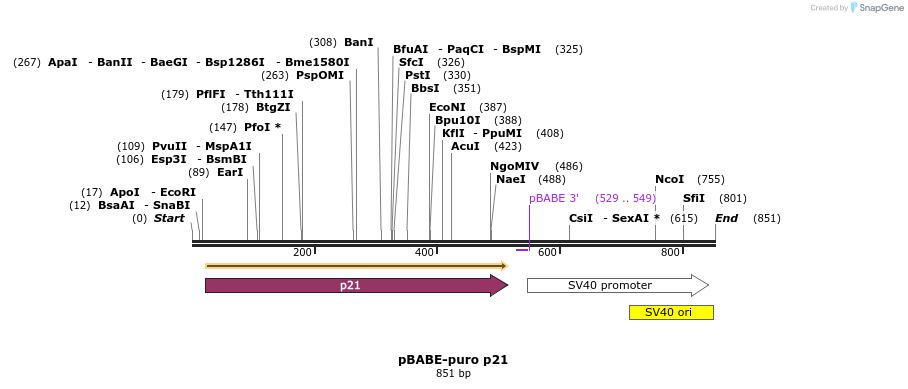 149149_map
