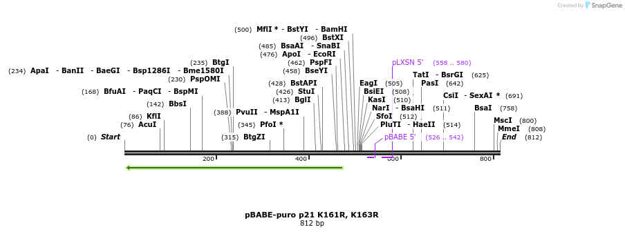 149153_map
