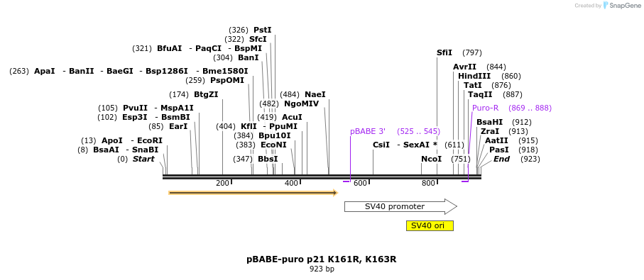 149154_map