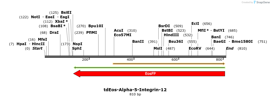 149156_map