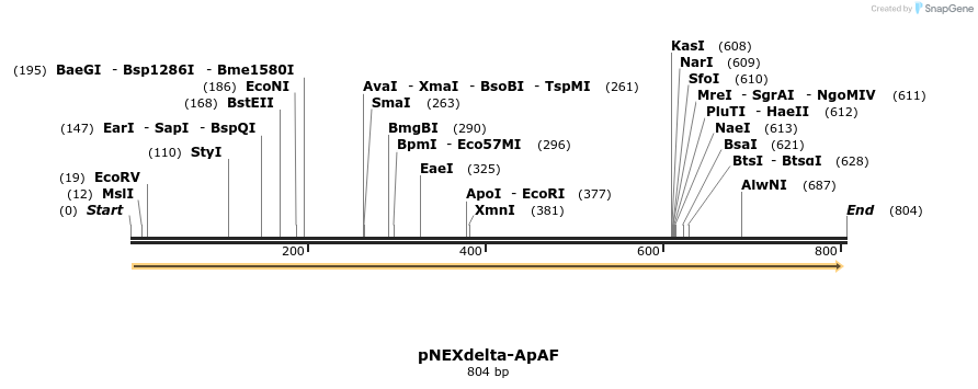 149158_map