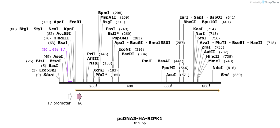 149161_map