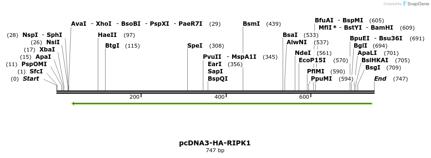 149163_map