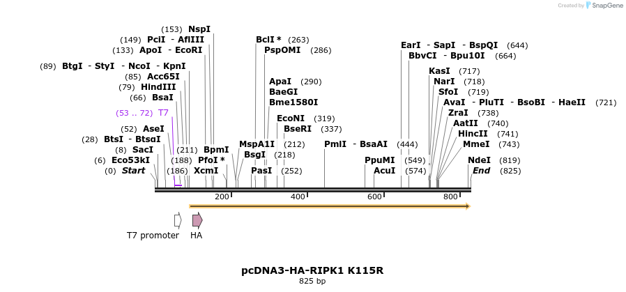149170_map