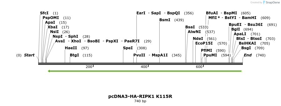149171_map