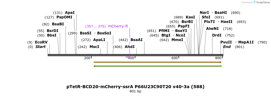 149172_map