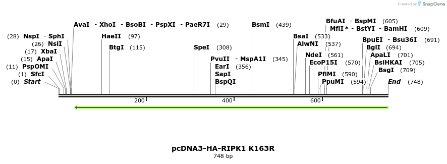 149176_map