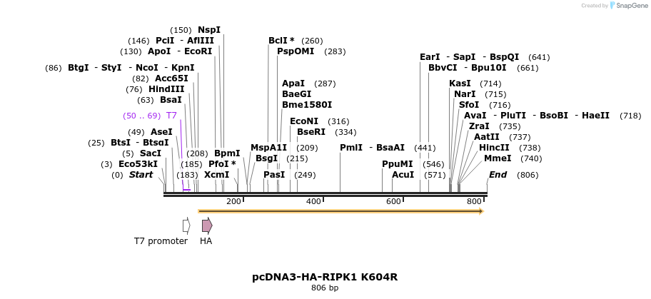 149181_map