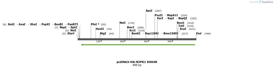149182_map