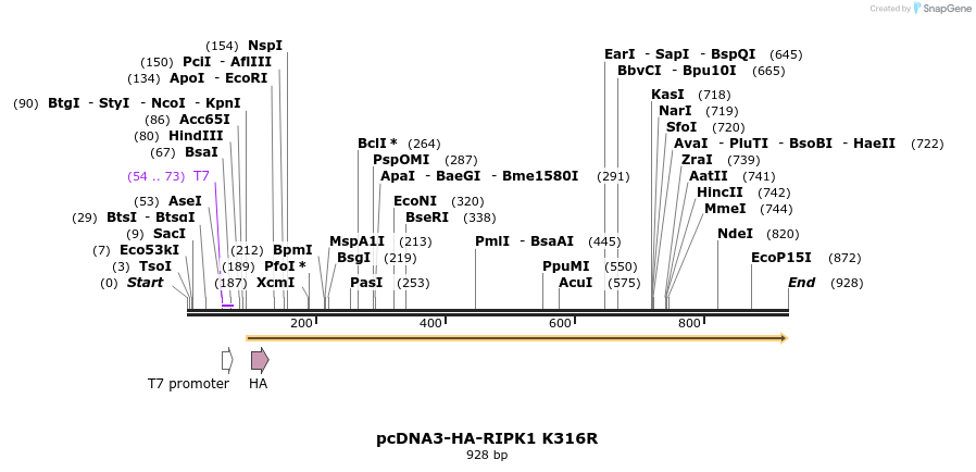 149187_map