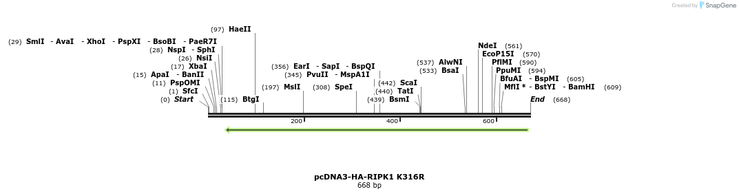 149189_map